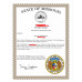 LLC registration (Company Registration in the US)
