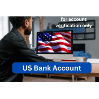 Virtual US Bank